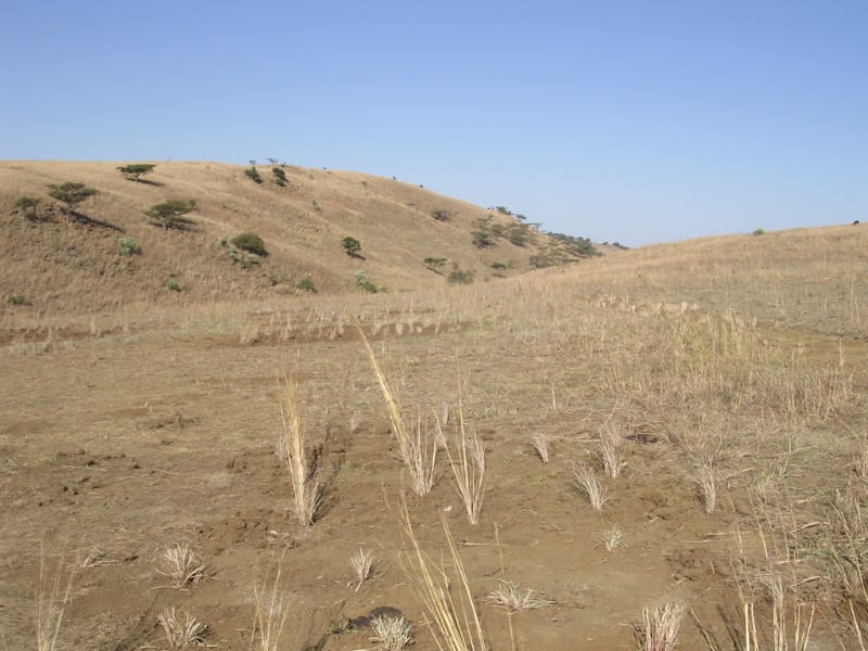 Rehabilitation of the environment