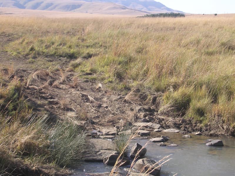 Rehabilitation of the environment