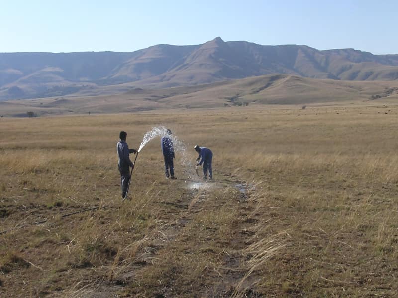 Rehabilitation of the environment